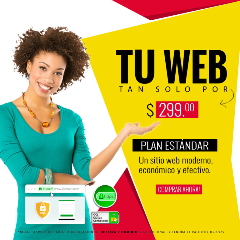 Diseno Web Plan Estandar 768x768