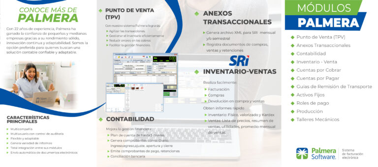 Palmera presentacion 02 1 768x341