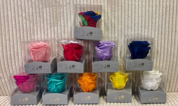La Rose Preserved Beauty - Agencia Quito Norte. Rosas Preservadas Eternas en Ecuador. Regalos Premium. Entregas en Quito y Envíos a todo el Ecuador. Creamos arreglos florales con rosas preservadas que duran más de 3 años sin agua ni sol. Cajas corazón, ramos, cúpulas de cristal y detalles personalizados para San Valentín, cumpleaños, aniversarios y fechas especiales. Sorprende con regalos únicos, elegantes y eternos. Visítanos y regala emociones que no se marchitan. lujo, amor y rosas eternas. Envíos a todo los países del MUNDO. Descubre la belleza atemporal de nuestras Rosas Preservadas Eternas en Ecuador, La Rose Preserved, una opción perfecta para aquellos que desean regalar o disfrutar de flores que perduran