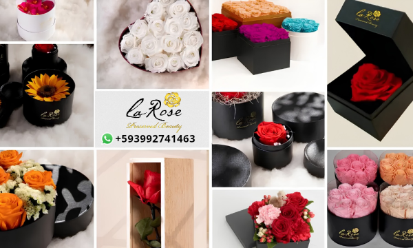 Rosas Preservadas Ecuador Infinity Blooms Flores Eternas de Exportación en Quito. Duran más de 3 años. Personaliza tu ramo y disfruta de envíos a nivel nacional e internacional. Eternity Roses, Long-Lasting Flowers. Venta de Rosas Preservadas en Quito Ecuador - LA ROSE PRESERVED BEAUTY. Exportación de Rosas Preservadas a Estados Unidos, Canadá - La Rose Preserved Preserved Roses. Export directly to all USA CANADA and EUROPE. Descubre la belleza atemporal de nuestras Rosas Preservadas Eternas, LA ROSE PRESERVED, una opción perfecta para aquellos que desean regalar o disfrutar de flores que perduran en el tiempo. Cada rosa es cuidadosamente seleccionada y tratada con un proceso especial que les permite mantener su frescura y color vibrante durante más de 3 años. Imagina tener en tu hogar un ramo que no solo embellece tu espacio, sino que también evoca emociones y recuerdos sin el desgaste del tiempo. Con La Rose Preserved, cada rosa es una obra de arte que resalta la elegancia y la sofisticación.