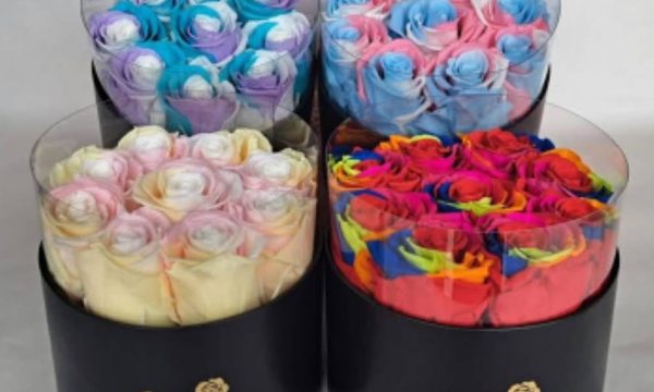 Ecuadorian Preserved Roses Premiun Quality For Export From Quito , Ecuador. Preserved Roses from Ecuador, Eternal Flowers, Infinity Blooms, Premium Preserved Flowers For Export from Quito. They last over 3 years. Customize your bouquet and enjoy nationwide and international shipping. Eternity Roses, Long-Lasting Flowers. La Rose Preserved Beauty Ecuador. Exporting Preserved Roses to the United States, Canada, Europe, the UK, Morocco, Dubai, the UAE, and more—La Rose Preserved Beauty Ecuador. Preserved Roses for Sale in Quito, Ecuador. Export directly to all USA CANADA and EUROPE. Direct export to the USA, Canada, and Europe. Discover the timeless beauty of our Eternal Preserved Roses—LA ROSE PRESERVED—the perfect choice for those who wish to gift or enjoy flowers that stand the test of time. Each rose is carefully selected and treated with a special process that allows it to retain its freshness and vibrant color for over 3 years. Imagine having a bouquet in your home that not only beautifies your space but also evokes emotions and memories, remaining untouched by the passage of time. With La Rose Preserved, every rose is a work of art that embodies elegance and sophistication. Visit our Websites: https://www.LaRosePreserved.com https://GetLaRose.com/ 📲 Information and Sales: Tel: +593992741463 Tel: +593980220333 📶 WhatsApp: https://wa.me/593992741463