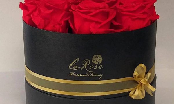 Rosas Preservadas Ecuador. Flores Eternas Quito de Exportación. Everlasting Bliss, Infinity Blooms. Duran más de 3 años. Personaliza tu ramo y disfruta de envíos a nivel nacional e internacional. Eternity Roses, Long-Lasting Flowers. Venta de Rosas Preservadas en Quito Ecuador - LA ROSE PRESERVED BEAUTY. Exportación de Rosas Preservadas a Estados Unidos, Canadá - La Rose Preserved Roses from Ecuador for Export Export directly to all USA CANADA and EUROPE. Descubre la belleza atemporal de nuestras Rosas Preservadas Eternas, LA ROSE PRESERVED, una opción perfecta para aquellos que desean regalar o disfrutar de flores que perduran en el tiempo. Cada rosa es cuidadosamente seleccionada y tratada con un proceso especial que les permite mantener su frescura y color vibrante durante más de 3 años. Imagina tener en tu hogar un ramo que no solo embellece tu espacio, sino que también evoca emociones y recuerdos sin el desgaste del tiempo. Con La Rose Preserved, cada rosa es una obra de arte que resalta la elegancia y la sofisticación. Visita mi Página Web https://www.LaRosePreserved.com 📲 Información y Ventas: Tel: 593992741463 593980220333 📶 WhatsApp: https://wa.me/593992741463 https://wa.me/593980220333 Dale click al link y me cuentas tu requerimiento. No sólo te ofrecemos un producto excepcional, sino también un servicio de envío a nivel nacional e internacional, lo que significa que puedes compartir la belleza de nuestras rosas con seres queridos en cualquier parte del mundo. Cada ramo es empaquetado con el máximo cuidado para garantizar que llegue en perfectas condiciones, listo para ser disfrutado. No esperes más para transformar tu espacio o sorprender a alguien especial con un regalo que perdurará en el tiempo. Elige La Rose Preserved y experimenta la magia de las flores que nunca se marchitan. Este exquisito conjunto de regalo presenta rosas preservadas jumbo y mini, perfectas para cualquier ocasión. Las rosas están bellamente dispuestas en elegantes cajas negras, asegurando una impresión duradera. Ideal para aniversarios, cumpleaños o como una sorpresa especial para seres queridos. Avenida Atahualpa entre Avenida Mariana de Jesús y Avenida Rumipamba, 170147, Quito.