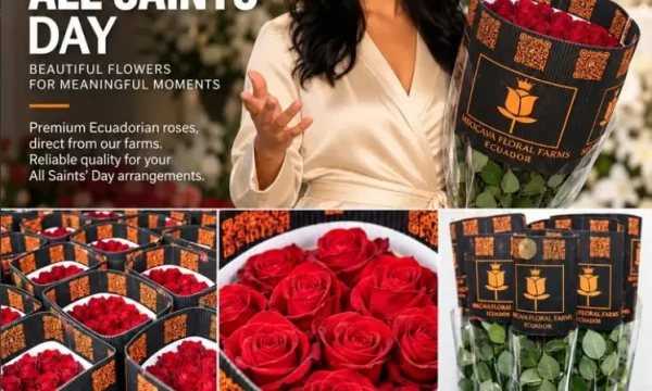 farm direct Ecuador roses consistent grading Quito Ecuador rupvdcbkcnn642lncj00q9kov4j3je5b47wpb40aa8
