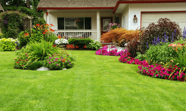 mejorar apariencia jardin rq65adh6sroif40e7jkfswp1or34tilcs8k8l7qnf4